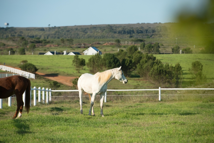 4 Bedroom Property for Sale in Kabeljauws Eastern Cape